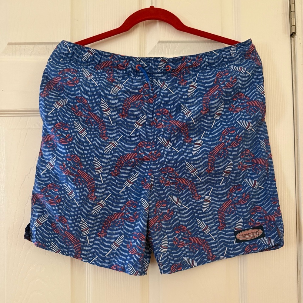 Vineyard Vines Blue and Red Swim Trunks Dynamic Design
